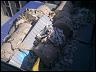 img-20120307-00277